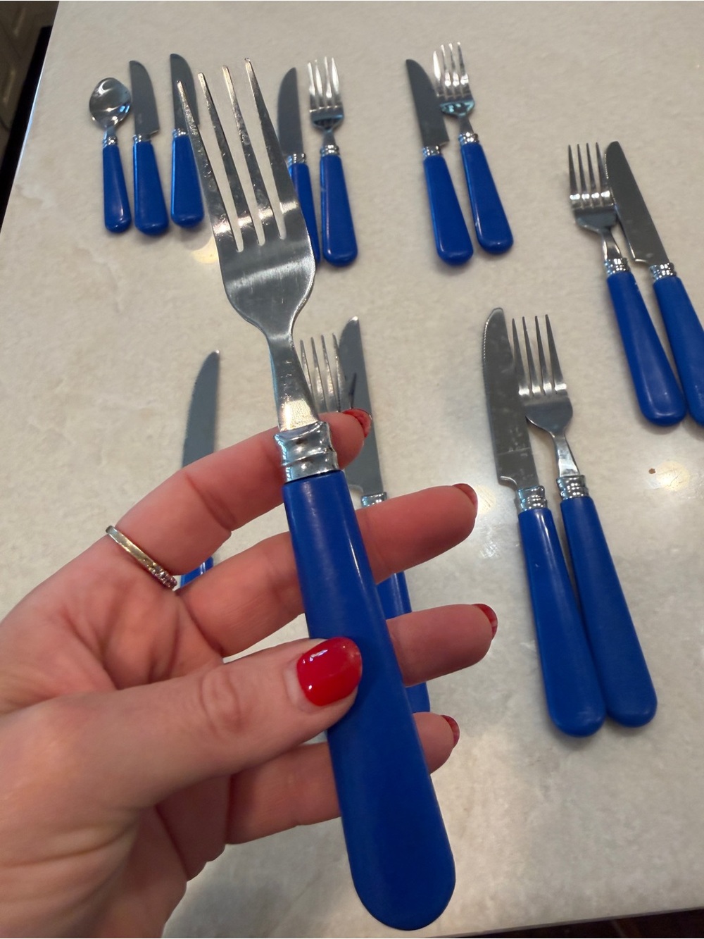 Vintage Blue-Handled Stainless Steel Flatware Set - Picture 3 of 4